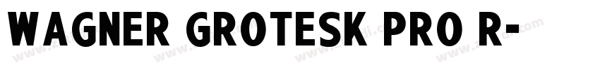 Wagner Grotesk Pro R字体转换